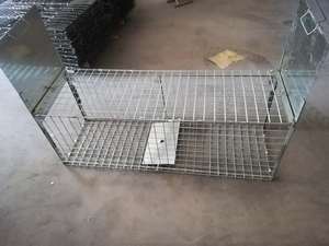 กับดักสัตว์มีชีวิตแบบ 2 ประตู เหมาะสำหรับจับ<span class=keywords><strong>กระรอก</strong></span> หนูตะเภา ชิปมังก์ หนู และสัตว์รบกวนอื่นๆ - Product Image 6