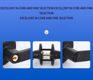 2025 chất lượng tốt nhất hợp kim nhôm xử lý khóa thiết lập sự riêng tư LEVER Door Key Hot Bán cho khách sạn nhà bộ phận <span class=keywords><strong>3</strong></span> phím bao gồm - Product Image 4