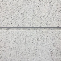 Dalles de granit Grade Pasmo découpées sur mesure, design moderne, durables, pour cuisine, salle de bain, extérieur et escaliers, vente en gros
