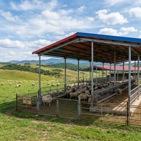 Abri pour moutons en structure acier simple, directement de l'usine, abri pour bétail à côtés ouverts, toit métallique pour ferme ovine, vente en gros 1