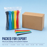 Vente directe d'usine pas cher autobloquant Nylon 66 attaches de câble avec attaches de câble autobloquantes attaches de câble en plastique