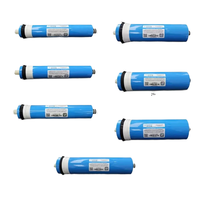 Wosfer ménage RO purificateur d'eau 50g75g100g400g600g Machine à eau pure avec élément filtrant universel membrane d'osmose inverse