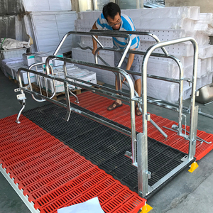 Cage de mise bas de haute qualité à prix d'usine – Équipement d'élevage porcin pour optimiser le bien-être animal et l'efficacité de la ferme - Product Image 1