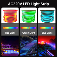 Bande lumineuse LED flexible en silicone personnalisable, AC110V AC220V DC12V DC24V 16mm DMX512 RGB RGBW RGBWW SMD5050 IP68