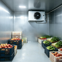 Unidad de Condensación Refrigerada por Aire para Cámaras Frigoríficas y Congeladores, Equipo de Refrigeración de 3HP con Compresor Scroll Emerson R410A