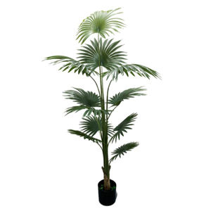 Casi Natural 2M Artificial Hawaiien Foxtail Palmeras Realista Decoración Interior Artificial Hawaii Palmera Planta Arboles - Product Image 5