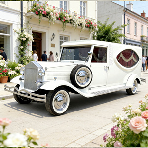 Limosinas Fúnebres y Carrozas Fúnebres, Vehículos Fúnebres de Lujo, Carroza Fúnebre Eléctrica, Transporte Especial para Funerales - Product Image 1