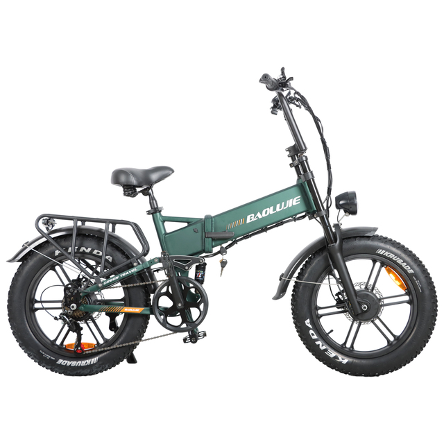 48V 1000W Folding Electric Fat Tire Bike 20 Inches 18Ah Battery Rear Carrier 7 Speed with P1 LCD Display Adult E-Bike
