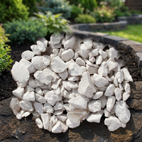Vente directe d'usine, dolomite de qualité supérieure de qualité indienne, haute blancheur, acheter auprès d'un fournisseur indien