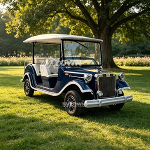 Nuevo Coche Eléctrico Turístico Vintage de 6 Plazas 2026 con Certificación CE, Alimentado por Batería de Litio, para Parques, Resorts y Lugares Turísticos - Product Image 5