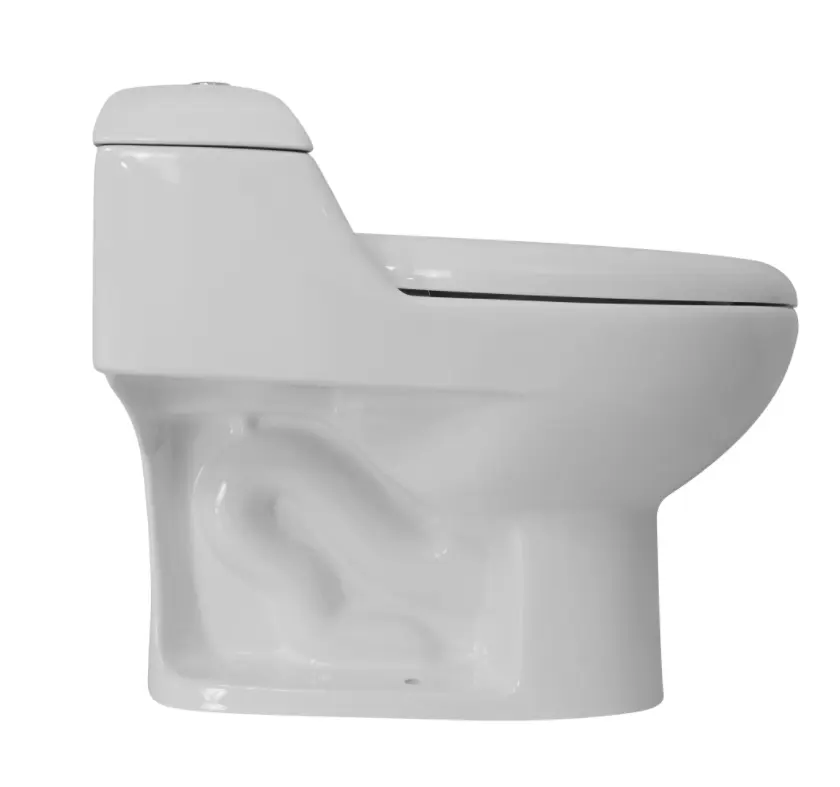 Modern South America Design Economic Bathroom Color Strap With High Quality Floor Mounted Ceramic Siphonic One-piece Toilet
