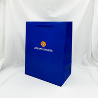 Sacs en papier de cadeau à provisions de carton de chaussures et de vêtements de détail de luxe avec l'impression de logo de poignée pour la boutique