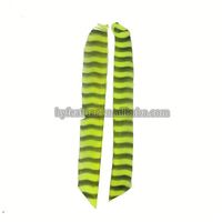 Véritable aile naturelle tir à l'arc flèche plume empennage aubes plume de dinde pour bricolage tir à l'arc chasse cible tir flèche accessoire