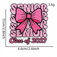 En gros, Écussons thermocollants brodés pour la promotion 2027, Appliques roses de nœud et de toque de remise de diplôme pour vêtements, vestes, sacs et décoration DIY