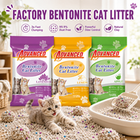 Litière pour chat avancée et écologique à base de bentonite, forte absorption, contrôle des odeurs, 99 % sans poussière, pour les distributeurs en gros