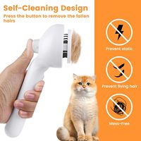 Brosse à vapeur 3 en 1, peigne d'épilation en spray pour animaux de compagnie pour le toilettage des pertes, chiens d'eau petits animaux longs cheveux courts avec