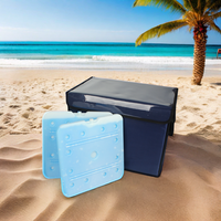 Congélateur à plaque eutectique PCM -22C, grande brique de glace réutilisable pour aliments, matériau HDPE/PE isolé thermiquement pour chariot à glaces