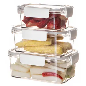 Ensemble de boîtes à Lunch fraîcheur Transparent et hermétique, récipients de stockage des aliments pour animaux de compagnie, boîte écologique, 10 pièces