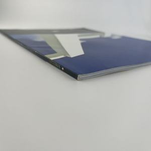 Catalogue de produits d'impression d'album d'images à reliure adhésive de qualité la plus vendue - Product Image 5