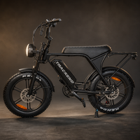 Vélo Électrique V8 YL-81F avec Affichage, Moteur Arrière 750W, Ebike, Entrepôt Outre-mer Canada Allemagne Pologne, Faible Coût d'Expédition, Conception Personnalisée