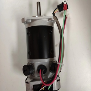 MP-E300944 Moteur DC (ceramique) 100W d'origine japonaise Mimaki YG500/UJV55/TX500DS/TS500/SWJ-320/JFX500/JFX200/Fledy - MP-E300944 - Product Image 2