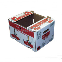 Op maat gemaakte gegolfde stevige fruitdozen, geventileerd, waterbestendig, matte laminatie, exportverzenddozen