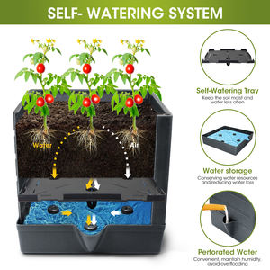 กล่องปลูกสมุนไพรแบบ OEM ODM พร้อมประตูตาข่ายและกระจกนิรภัยเคลือบ PVC เป็นมิตรกับสิ่งแวดล้อม ประกอบง่ายสำหรับสวนในบ้านและสวนสาธารณะ - Product Image 2