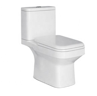 Toilet keramik dua potong kualitas tinggi desain portabel Modern Strap unik p-trap lantai terpasang Wc Toilet