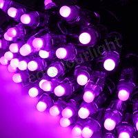 Bande lumineuse LED pixel extérieure RGB WS2811 Epistar 12V DC5V étanche IP68 corps de lampe en PVC couleur pleine carte SD et contrôle par application