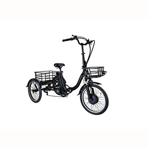 รถสามล้อไฟฟ้า CE แบตเตอรี่ 36V10Ah กำลังไฟ 250W รถสามล้อสำหรับผู้สูงอายุ - Product Image 1
