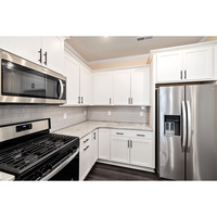 Meubles de cuisine sur mesure de luxe en laque, îlot d'évier, design de meubles de cuisine, armoire de cuisine moderne