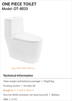 Pemasangan Toilet Pan Kedua Setelah Lantai Terpasang dan Garis Dasar Tersegel Proyek Hotel