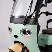 Tricycle électrique 1000W, 3 places, trois sièges réglables, carrosserie ouverte, petit scooter familial