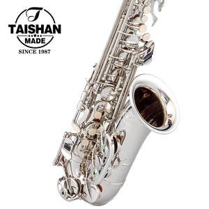 Saxofón Alto de Latón OEM de Alta Calidad con Cuerpo Niquelado Hecho en China - Product Image 2