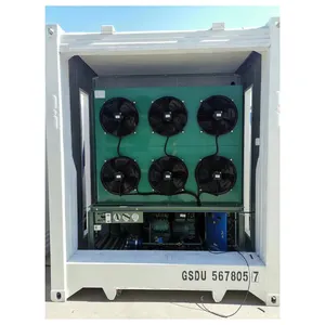 Customized cold room container as movable cold room with New or used equipment and container body