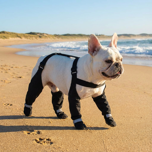 Köpekler ve Kediler için Pati Korumalı ve Uzun Bacak Kapsamlı Sıcak Satış Su Geçirmez Polyester Askılı Botlar - Product Image 2