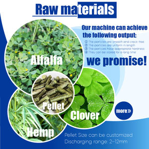 Macchina estrusore per mulino a Pellet erba medica 3-4 t/h - Product Image 2