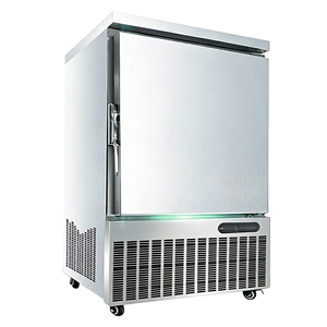 Congelador Vertical Comercial de 1 Puerta con Descongelación Automática, Congelación Rápida, 5-15 Bandejas, Contenedorizado, Acero Inoxidable, Alto Rendimiento - Product Image 1