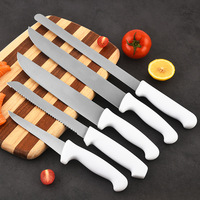 Couteau à filet en acier inoxydable avec manche en plastique, couteau à pain, couteau à fruits pour la cuisine, la pêche, ensemble d'outils multi-usages