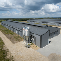 Poulailler économique moderne en structure acier, hangar préfabriqué pour bétail, élevage avicole à grande échelle, haute résistance, galvanisé à chaud