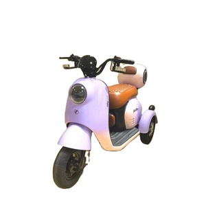 Triciclo Motorizado de 600W 48V, Bicicleta Eléctrica Plegable para Adultos, Scooter Eléctrico de Tres Ruedas para Personas con Discapacidad - Product Image 1