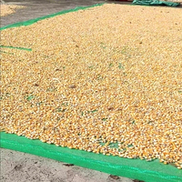 HDPE Geweven Graandroognet Zonnedrooggaas voor Rijst Tarwe Mais Oogst Ademend Graandroognet