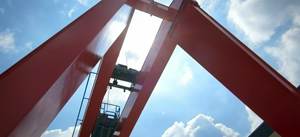 Grue à portique à pneus tout usage (Diesel/Électrique) - Soulevez tout produit avec facilité - Product Image 5