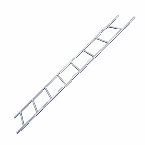 Prix d'usine, fabrication chinoise, échelle de chantier galvanisée - Product Image 2