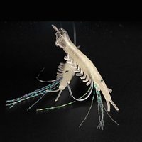 NEWMAJOR H1-01 5 hameçons circulaires lumineux pour appâts crevettes en acier à haute teneur en carbone 8-20 #   Ensemble d'hameçons de pêche en jigging pour la pêche en mer au bar