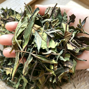 Té Blanco Fuding Shoumei 2023 en Hojas Sueltas, Apoyo Natural para la Salud Ocular, Rico en Vitamina A, Venta al Por Mayor, OEM - Product Image 2