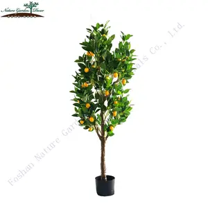 Bán Buôn Vườn Cây Cảnh Cây Ăn Quả Trang Trí Nội Thất Nhà Nhân Tạo Lemon Tree