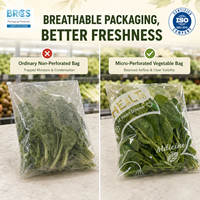 Food Grade Thick Double Layer BOPP Anti-Fog Shrink Bag with Self Adhesive Custom Logo Option for Vegetable and Sushi Packaging