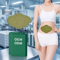 Patch Minceur à l'Absinthe, Amincissant Abdominal, Remodelant Corporel, Soutien Détoxifiant, Soulagement de la Douleur, Extrait Naturel, Soins de Santé CE