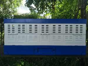 Plastik katlanabilir taşıma kuş kafesi fantezi taşıma güvercin papağan kuşlar katlanır ulaşım kuş kafesi - Product Image 4